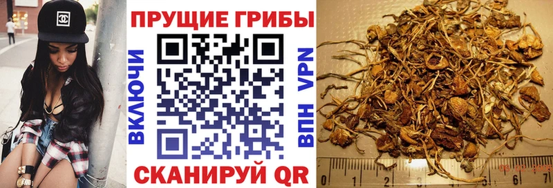 как найти закладки Лукоянов Галлюциногенные грибы Cubensis